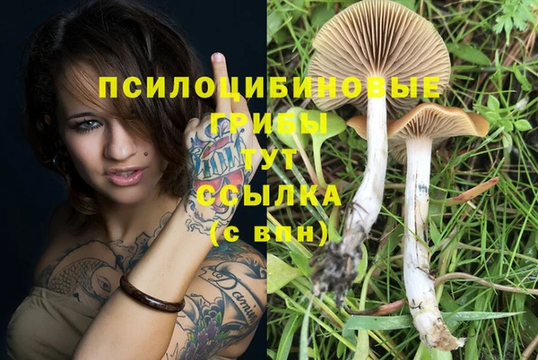 мяу мяу кристалл Лихославль